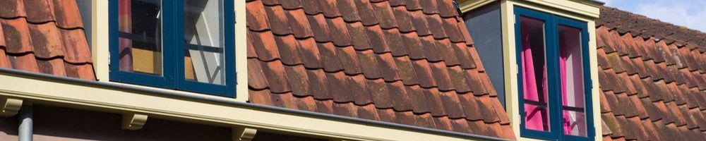 Dakrenovatie Buitenpost